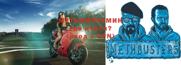 гидра Майский