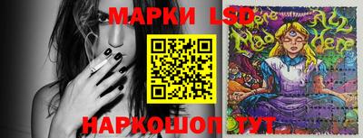 мдпв Кингисепп