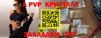 ECSTASY Кимры