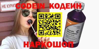 мдпв Кингисепп
