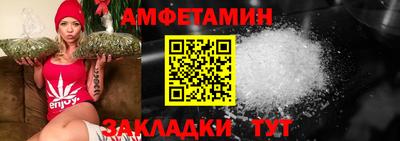 мдпв Кингисепп