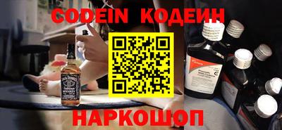 мдпв Кингисепп