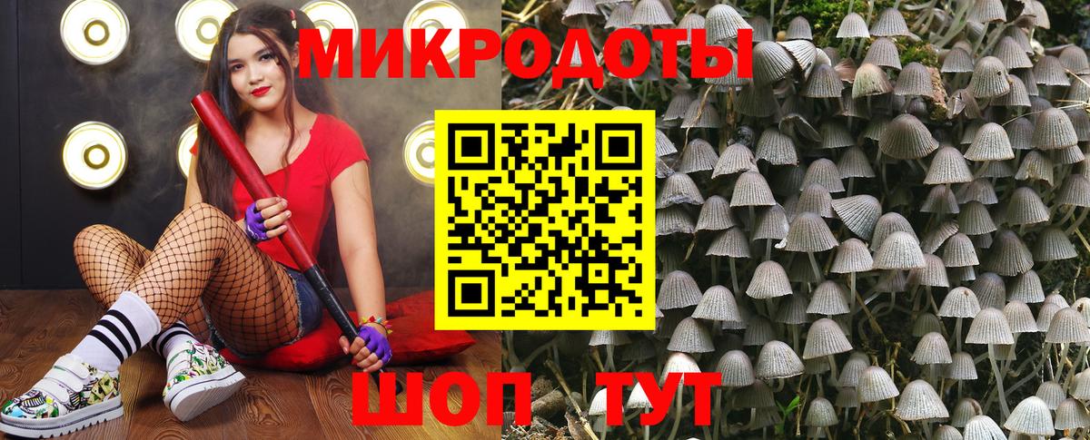 Псилоцибиновые грибы Magic Shrooms  Вход с VPN  Псилоцибиновые грибы GOLDEN TEACHER  Россия 