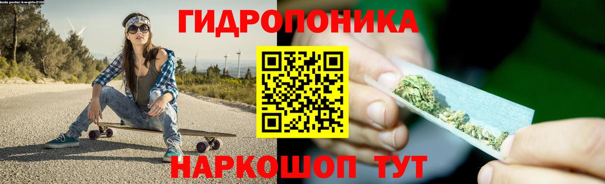 Бошки Шишки семена Россия